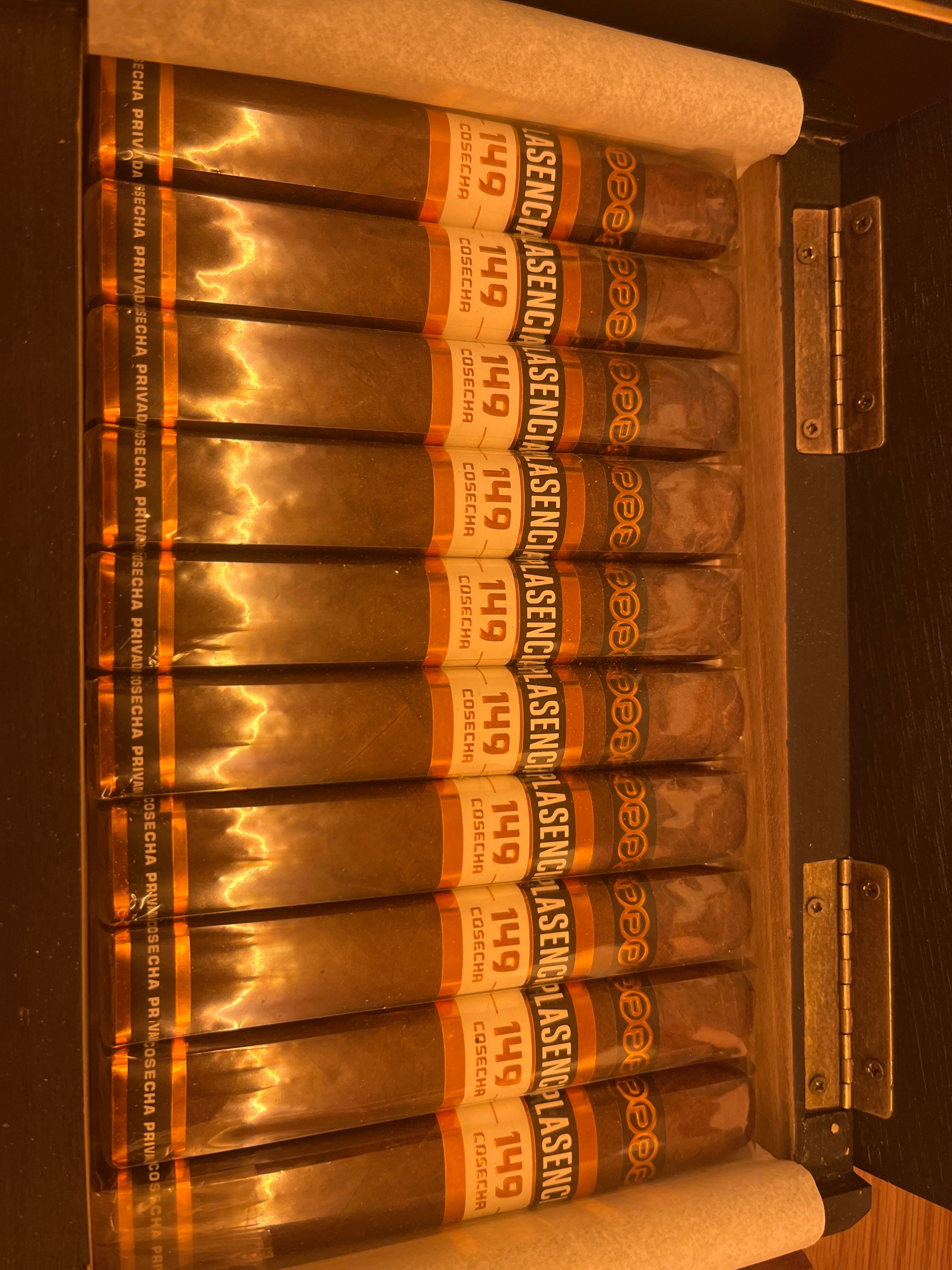 PLASENCIA LAVEGA 149