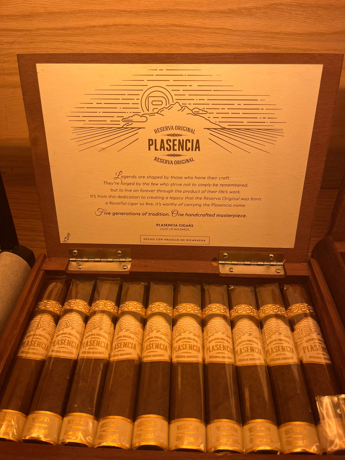 PLASENCIA ROBUSTO